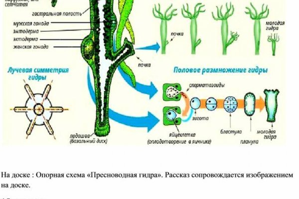 Кракен вывод средств